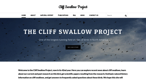 cliffswallow.org