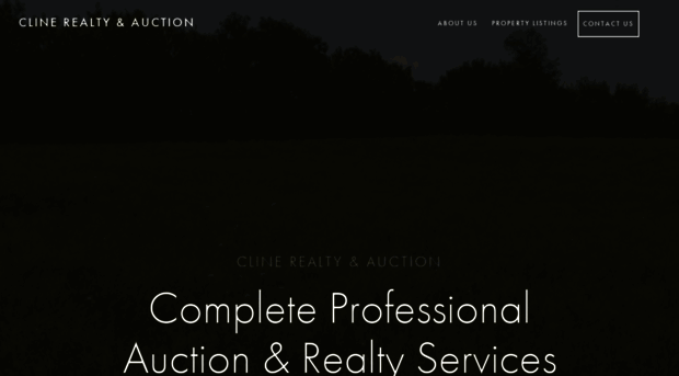 clinerealtyandauction.com