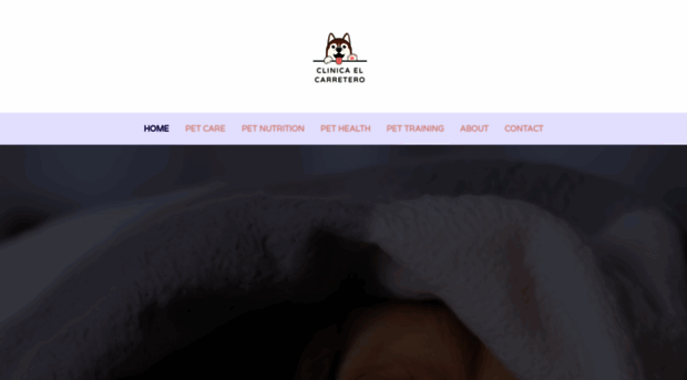 clinicaelcarretero.com