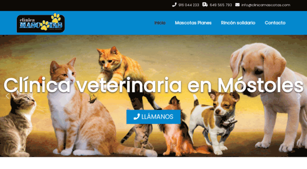 clinicamascotas.com