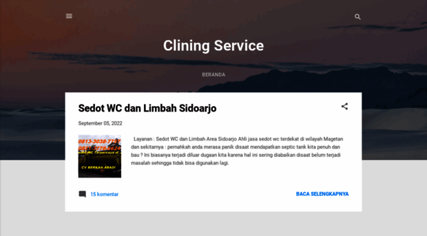 clining-service.blogspot.com