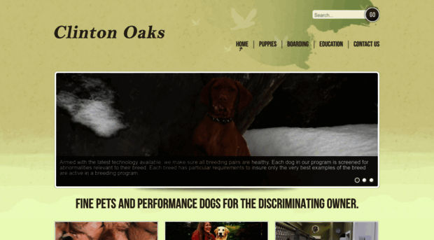 clintonoaks.com