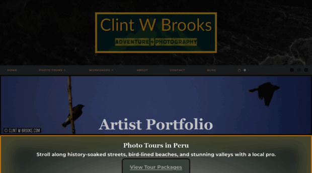 clintwbrooks.com