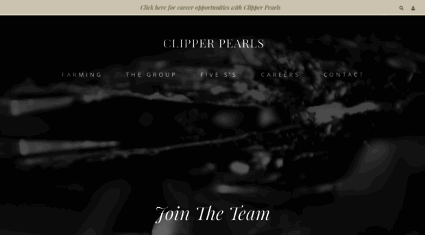 clipperpearls.com.au