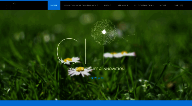 clisupports.com