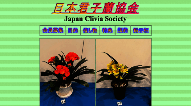 clivia.jp