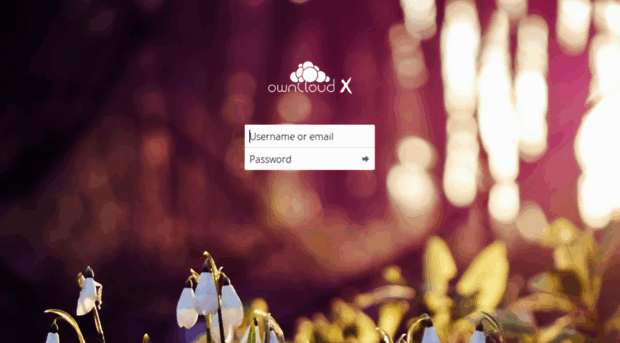 cloud.7flowers.ru