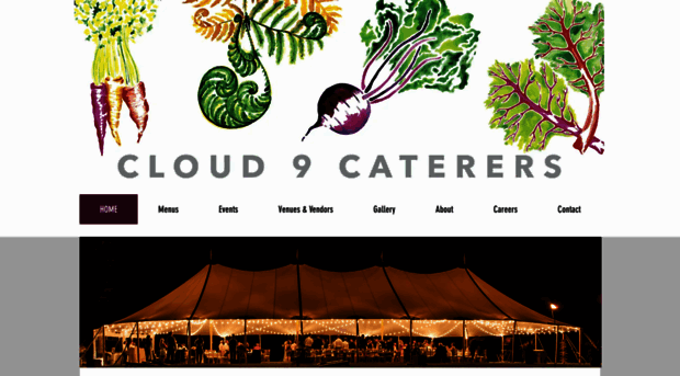 cloud9caterers.com