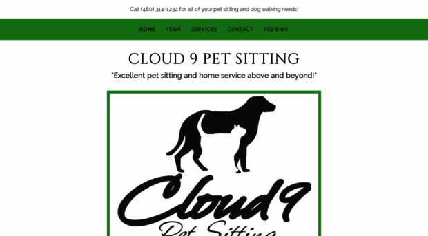 cloud9petsitting.com