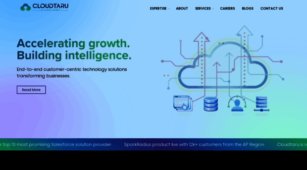 cloudtaru.com