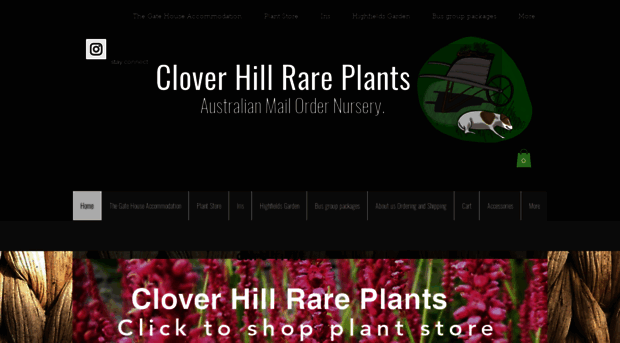 cloverhillrareplants.com.au