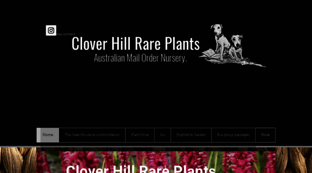 cloverhillrareplants.com