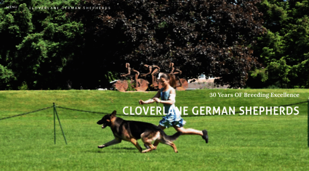 cloverlanegermanshepherds.com