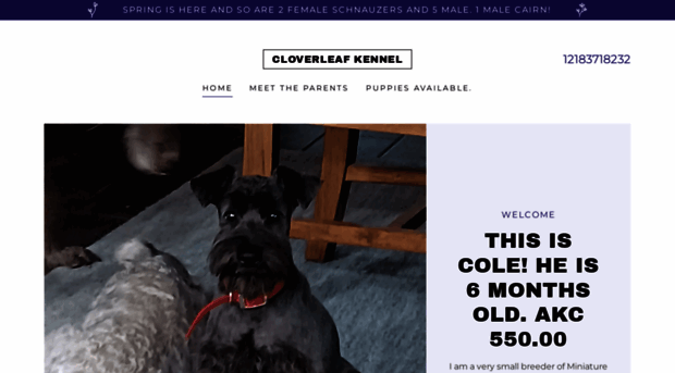 cloverleafkennel.net