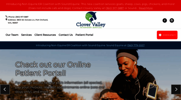 clovervalleyvet.com