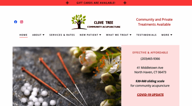 clovetreeacupuncture.com