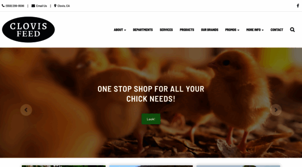 clovisfeedandpetsupplies.com