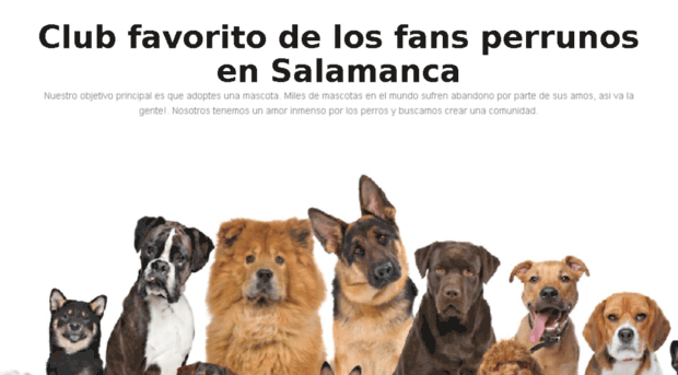 clubdelperro-ensalamanca.es