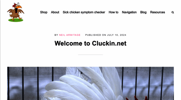 cluckin.net