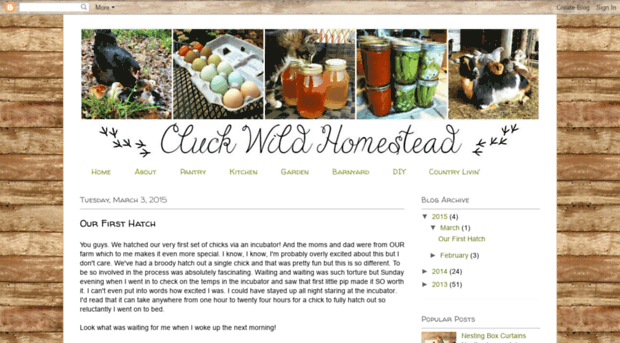 cluckwildhomestead.blogspot.com