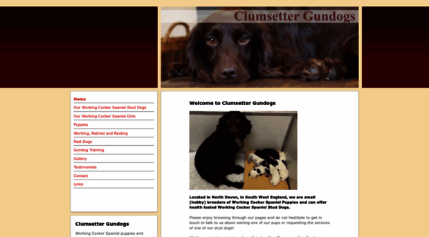 clumsettergundogs.co.uk