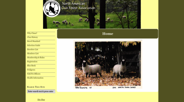 clunforestsheep.org