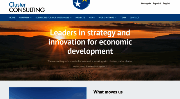 cluster-consulting.com