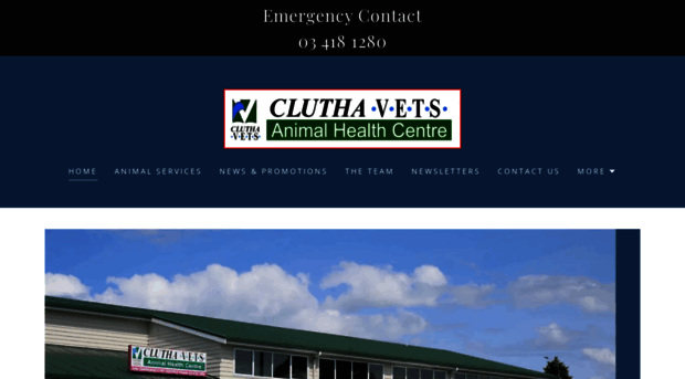 cluthavets.co.nz