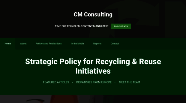 cmconsultinginc.com