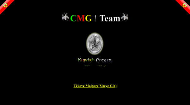 cmg-team.org