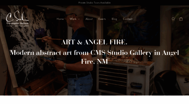 cmsstudiogallery.com