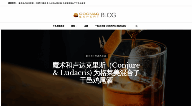 cn.cognac-expert.com