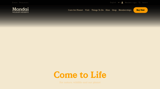 cn.mandai.com