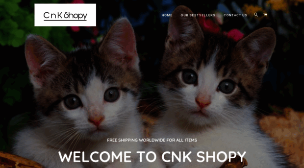 cnkshopy.com