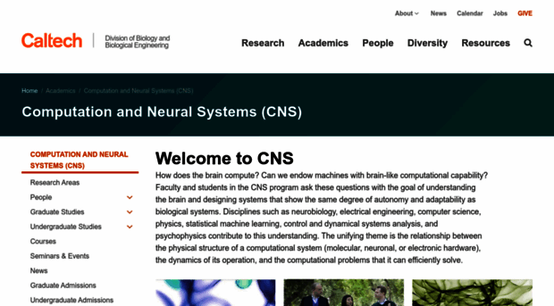 cns.caltech.edu