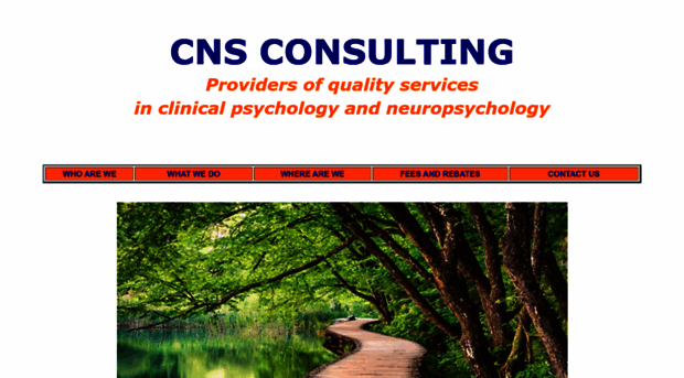 cnsconsulting.com.au