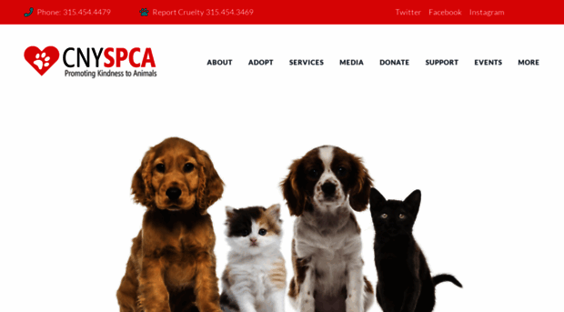 cnyspca.org