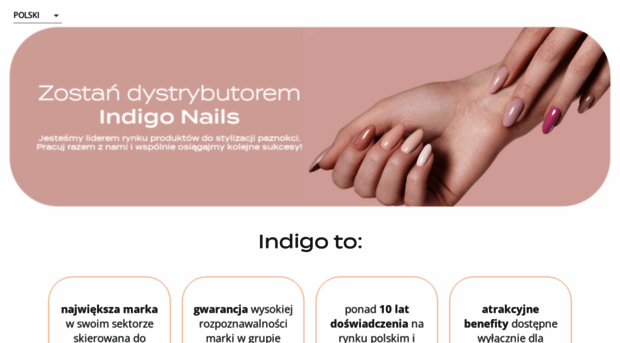 co.indigo-nails.com