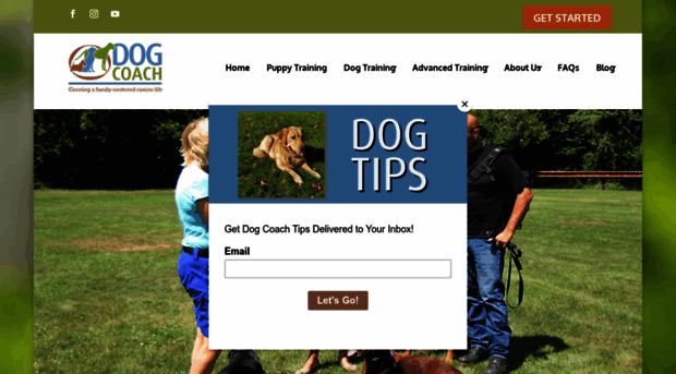 coachyourdog.com