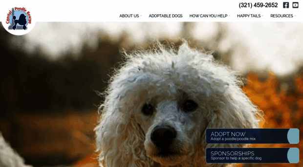 coastalpoodlerescue.org