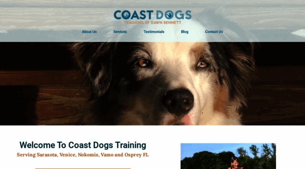 coastdogstraining.com