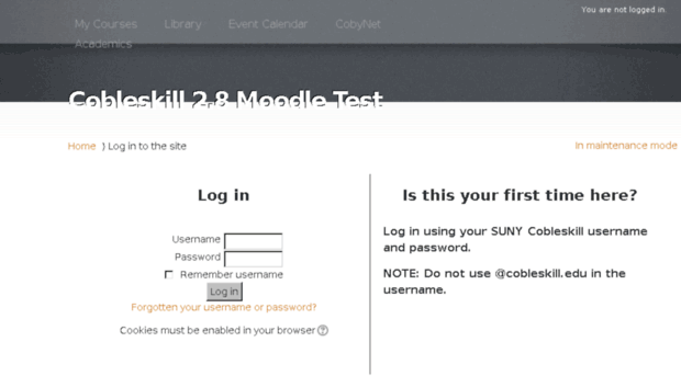 cob-moodle-28-test.delhi.edu