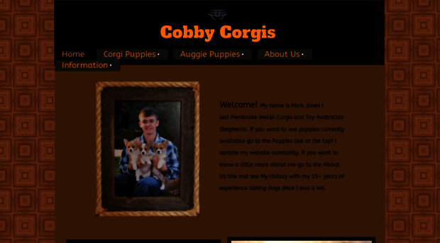 cobbycorgis.com