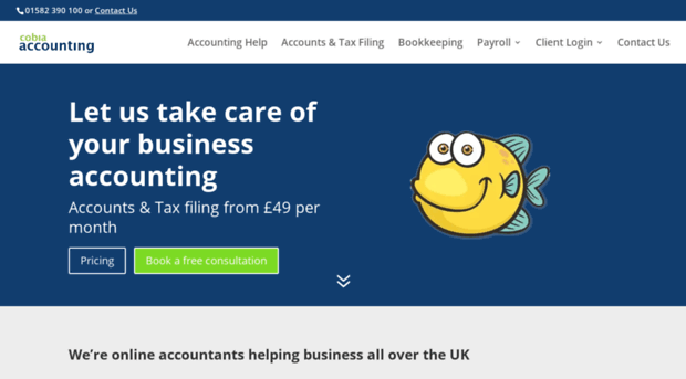 cobiaaccounting.co.uk