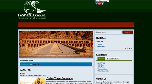 cobra-travel.com