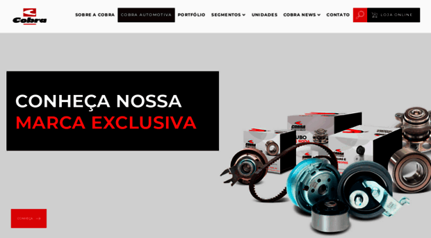 cobraautomotiva.com.br