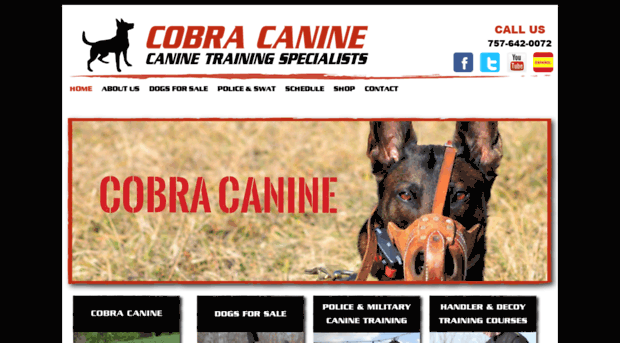 cobracanine.com