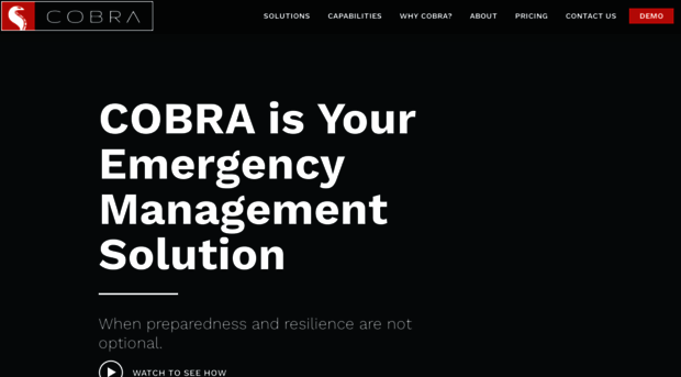 cobrasoftware.com