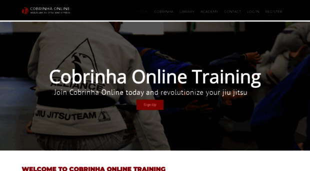 cobrinhaonline.com