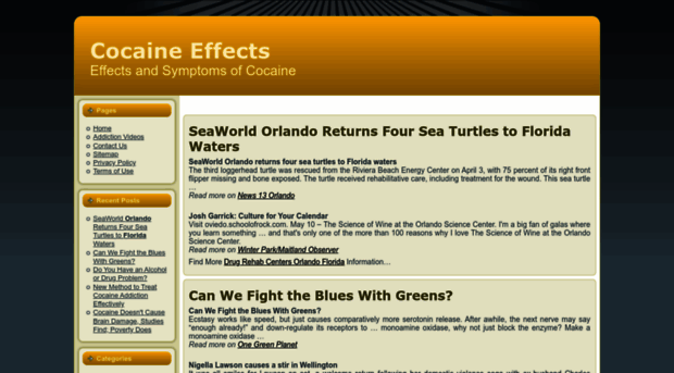 cocaine--effects.com